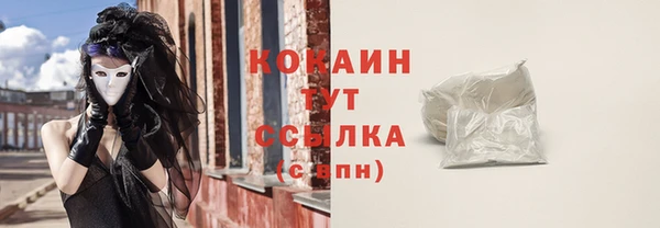 молекула духа Горняк
