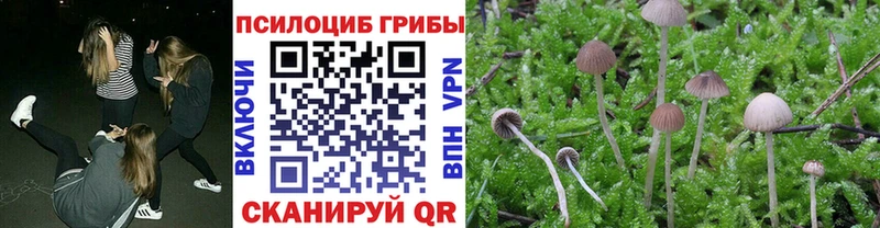 Псилоцибиновые грибы Cubensis  ОМГ ОМГ онион  Пермь  где найти наркотики 
